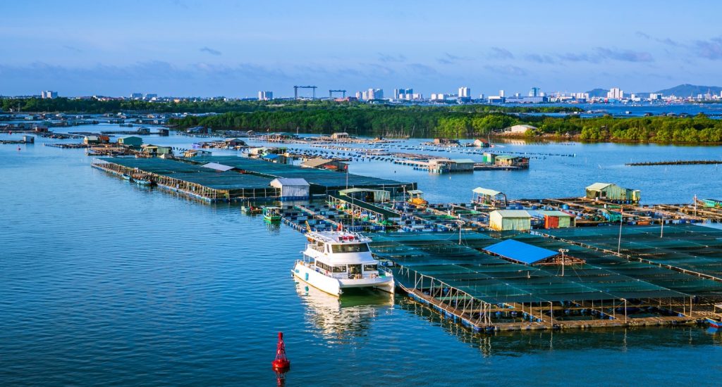 Đi Vũng Tàu nhiều nhưng bạn đã biết đến 'đùng Long Sơn' chưa?- Ảnh 1. Đi Vũng Tàu nhiều nhưng bạn đã biết đến 'đùng Long Sơn' chưa?- Ảnh 1.