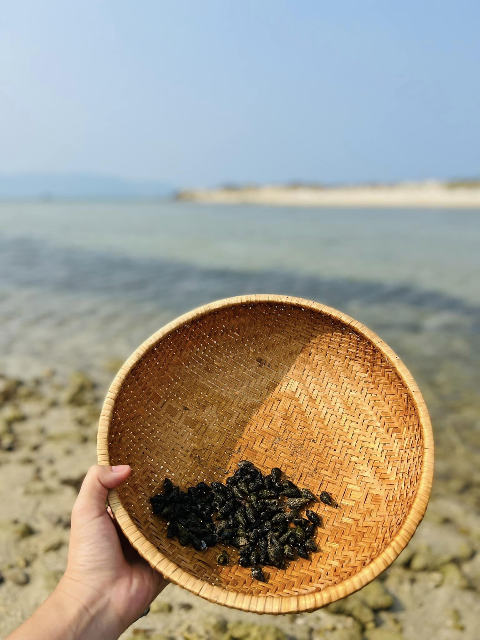 Từng mơ có "gác tía lầu son" rồi đột ngột chuyển hướng về quê mua nhà: Cuộc sống của mẹ 9x sau gần 3 năm thay đổi đến không ngờ- Ảnh 14.