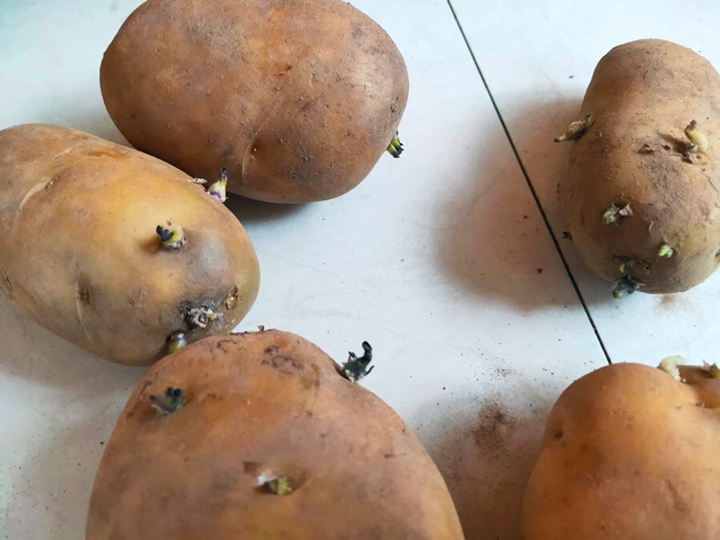 Nói thẳng: 6 loại thực phẩm này có độc, ngon rẻ mấy cũng đừng ăn- Ảnh 1.