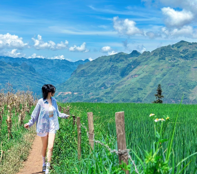 Thảo nguyên rộng lớn ngay vùng núi phía Bắc, cách Hà Nội 400km: Du khách nhận xét "như Châu Âu thu nhỏ"- Ảnh 6.