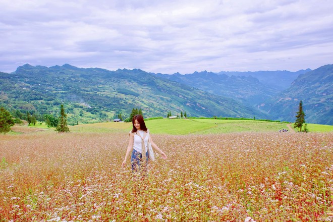 Thảo nguyên rộng lớn ngay vùng núi phía Bắc, cách Hà Nội 400km: Du khách nhận xét "như Châu Âu thu nhỏ"- Ảnh 12.