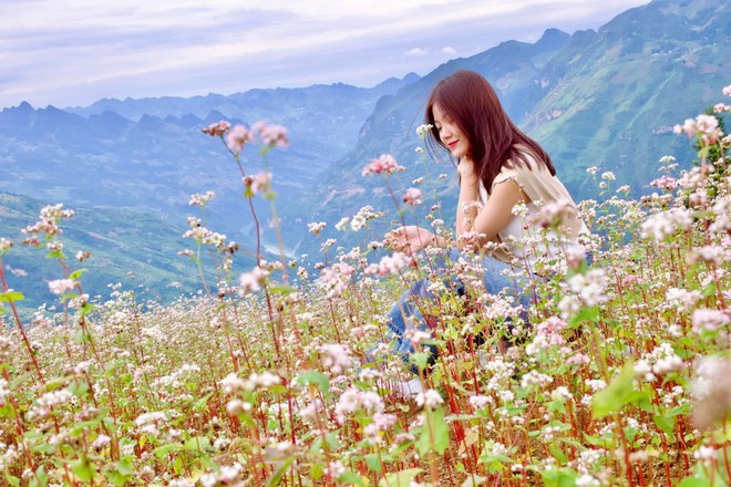 Thảo nguyên rộng lớn ngay vùng núi phía Bắc, cách Hà Nội 400km: Du khách nhận xét "như Châu Âu thu nhỏ"- Ảnh 11.