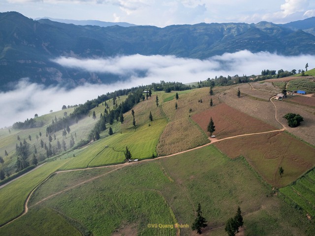 Thảo nguyên rộng lớn ngay vùng núi phía Bắc, cách Hà Nội 400km: Du khách nhận xét "như Châu Âu thu nhỏ"- Ảnh 1.