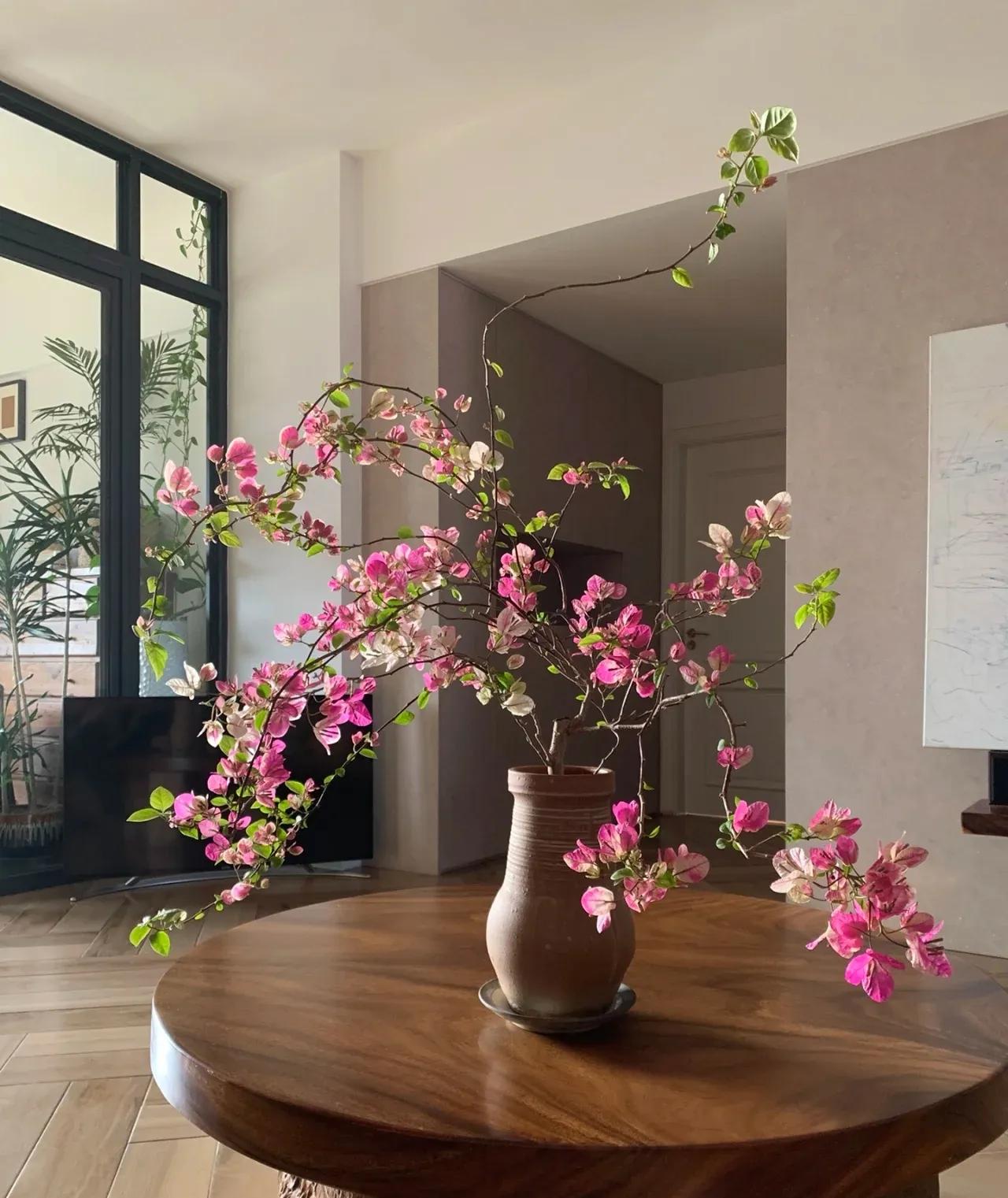 Nếu có 5 loại cây này trong phòng khách, 9/10 gia đình sẽ giàu có- Ảnh 2.