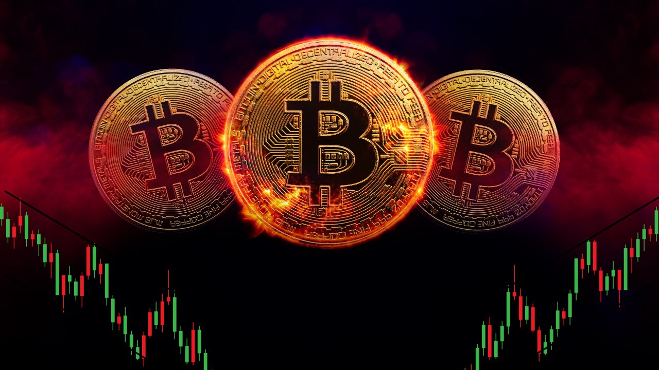 Các "cá voi" mua gần 2 tỷ USD Bitcoin trong 5 phiên liên tiếp thông qua các quỹ ETF- Ảnh 1.