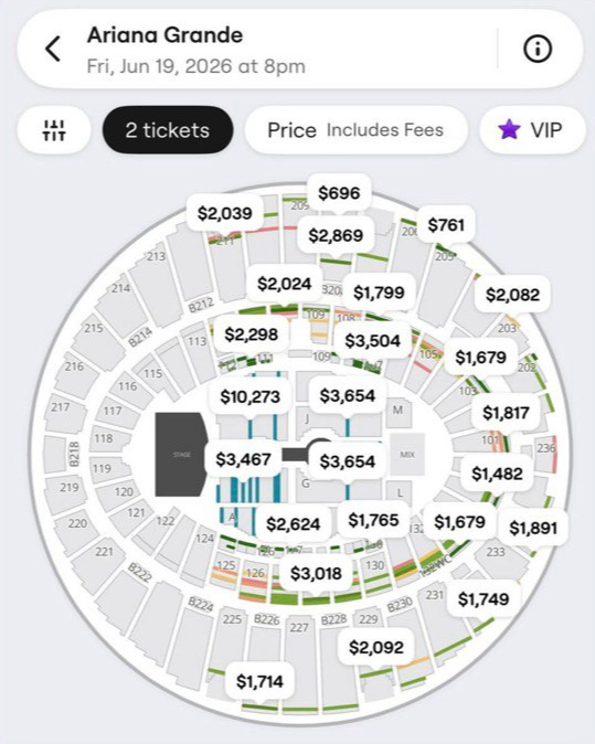 270 triệu cho tấm vé concert của nữ ca sĩ từng hủy show ở Việt Nam, nhìn hàng người xếp hàng phát hoảng- Ảnh 5.