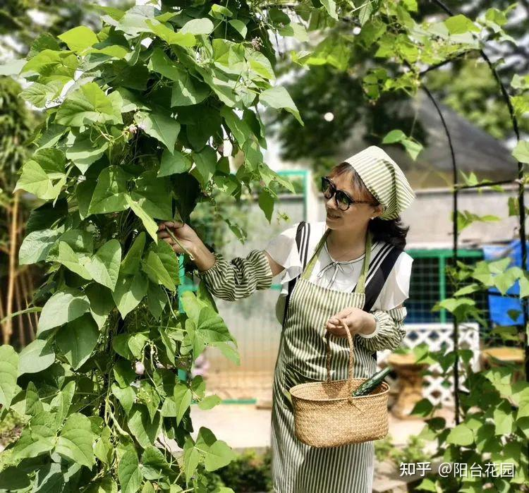 Từ giấc mơ châu Âu đến khu vườn 400m²: Người phụ nữ trung niên biến biệt thự thành thiên đường hoa bốn mùa- Ảnh 14. Từ giấc mơ châu Âu đến khu vườn 400m²: Người phụ nữ trung niên biến biệt thự thành thiên đường hoa bốn mùa- Ảnh 14.