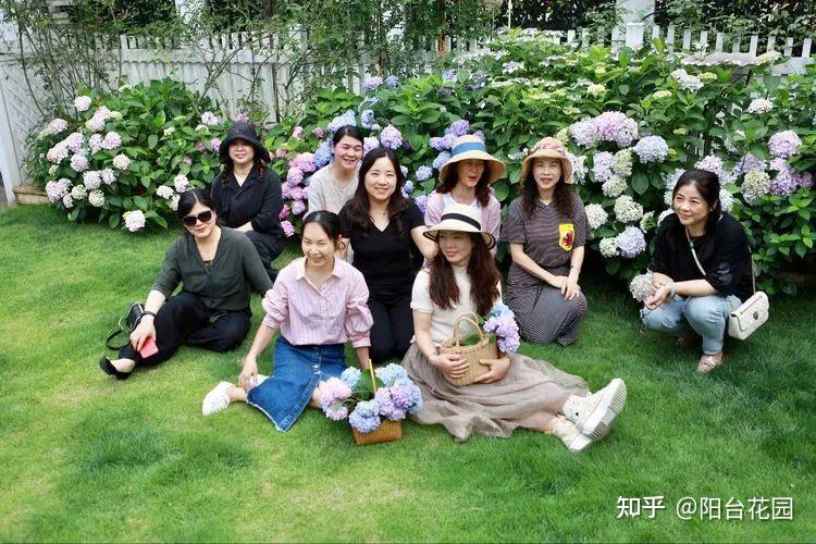 Từ giấc mơ châu Âu đến khu vườn 400m²: Người phụ nữ trung niên biến biệt thự thành thiên đường hoa bốn mùa- Ảnh 10. Từ giấc mơ châu Âu đến khu vườn 400m²: Người phụ nữ trung niên biến biệt thự thành thiên đường hoa bốn mùa- Ảnh 10.