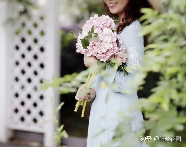 Từ giấc mơ châu Âu đến khu vườn 400m²: Người phụ nữ trung niên biến biệt thự thành thiên đường hoa bốn mùa- Ảnh 13. Từ giấc mơ châu Âu đến khu vườn 400m²: Người phụ nữ trung niên biến biệt thự thành thiên đường hoa bốn mùa- Ảnh 13.