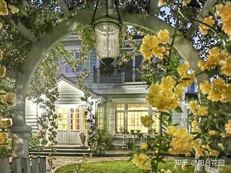 Từ giấc mơ châu Âu đến khu vườn 400m²: Người phụ nữ trung niên biến biệt thự thành thiên đường hoa bốn mùa- Ảnh 7. Từ giấc mơ châu Âu đến khu vườn 400m²: Người phụ nữ trung niên biến biệt thự thành thiên đường hoa bốn mùa- Ảnh 7.