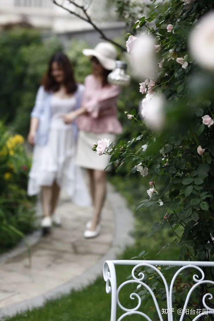 Từ giấc mơ châu Âu đến khu vườn 400m²: Người phụ nữ trung niên biến biệt thự thành thiên đường hoa bốn mùa- Ảnh 9. Từ giấc mơ châu Âu đến khu vườn 400m²: Người phụ nữ trung niên biến biệt thự thành thiên đường hoa bốn mùa- Ảnh 9.