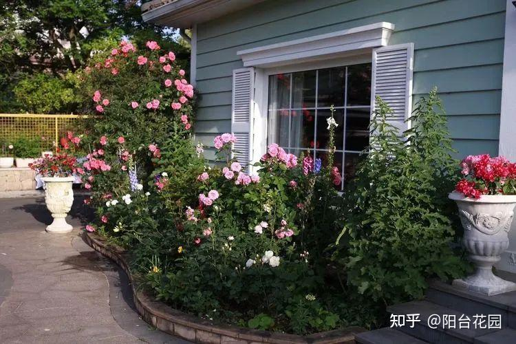 Từ giấc mơ châu Âu đến khu vườn 400m²: Người phụ nữ trung niên biến biệt thự thành thiên đường hoa bốn mùa- Ảnh 4. Từ giấc mơ châu Âu đến khu vườn 400m²: Người phụ nữ trung niên biến biệt thự thành thiên đường hoa bốn mùa- Ảnh 4.