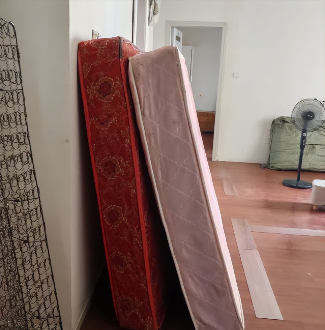 Vì sức khỏe cả nhà tôi tha thiết khuyên bạn VỨT 6 món đồ này đi- Ảnh 5.