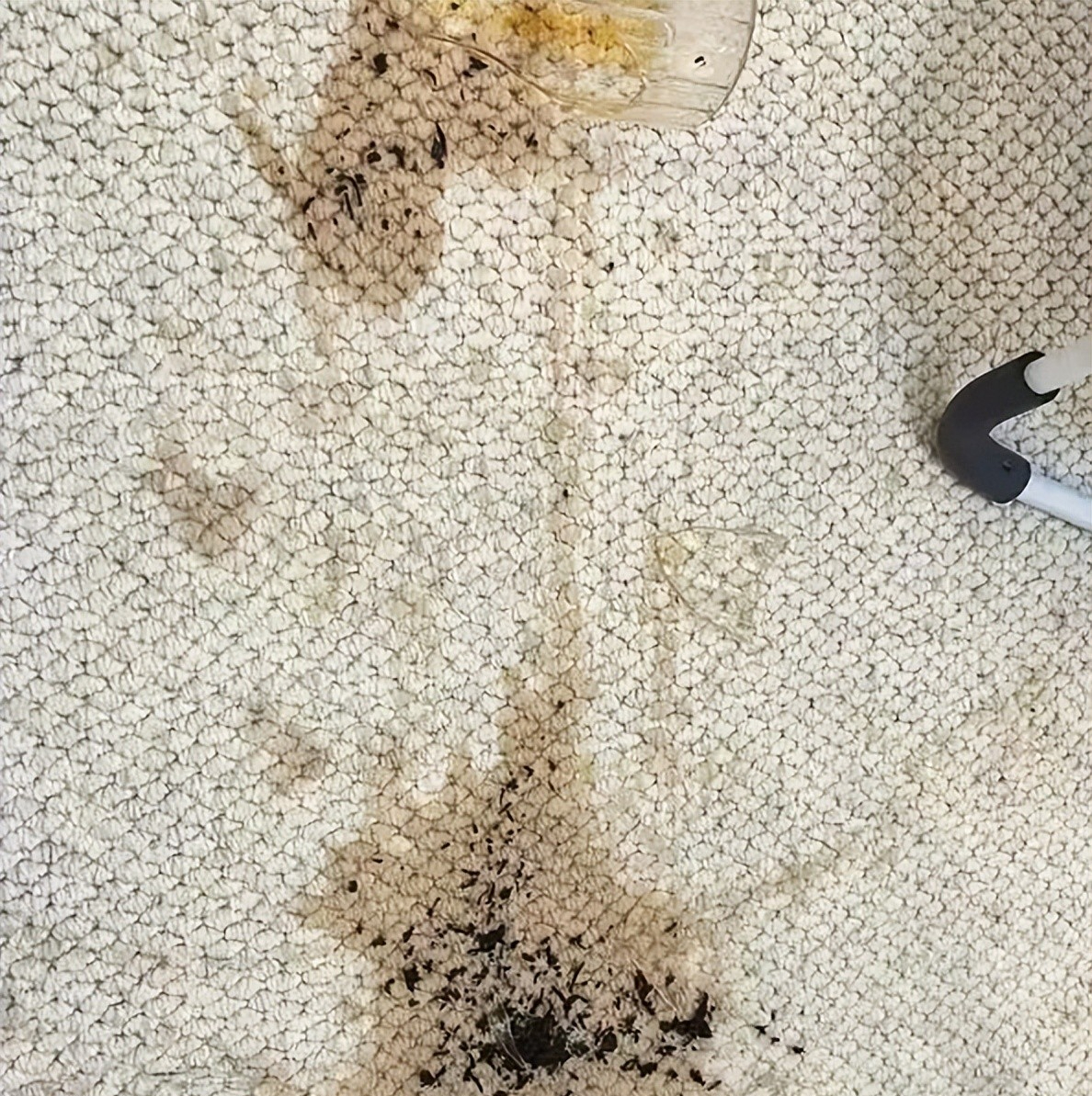 Vì sức khỏe cả nhà tôi tha thiết khuyên bạn VỨT 6 món đồ này đi- Ảnh 4.