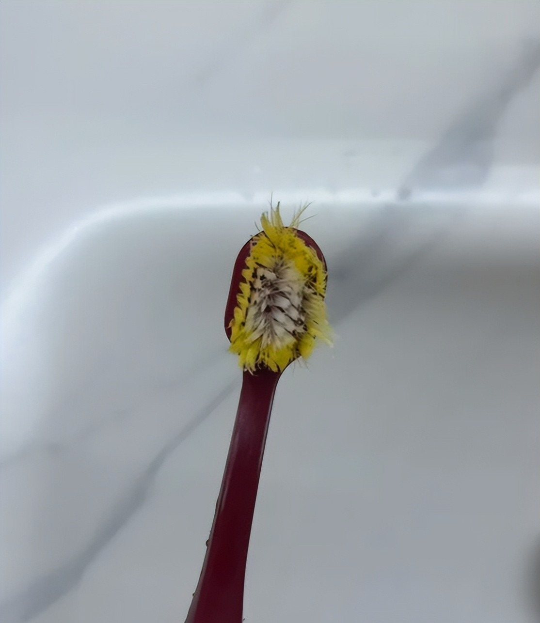 Vì sức khỏe cả nhà tôi tha thiết khuyên bạn VỨT 6 món đồ này đi- Ảnh 1.