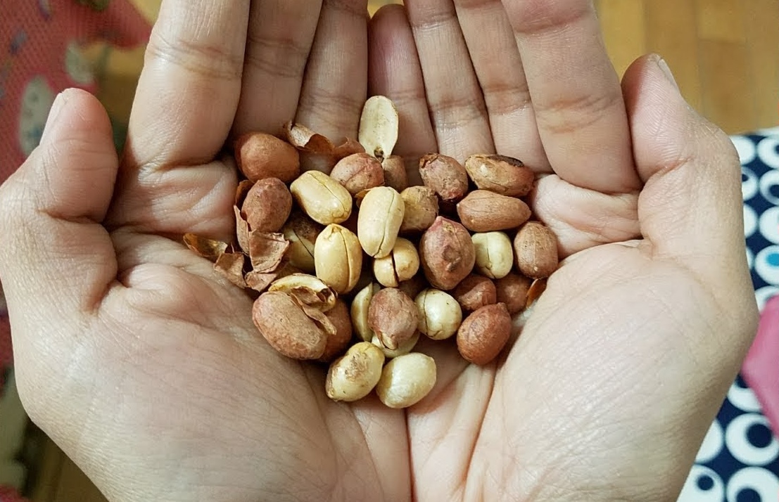 Sáng dậy, nhân lúc bụng đói ăn vài hạt rẻ bèo này ngang đồ đại bổ cho sức khoẻ, sắc đẹp: Bếp Việt thường có sẵn