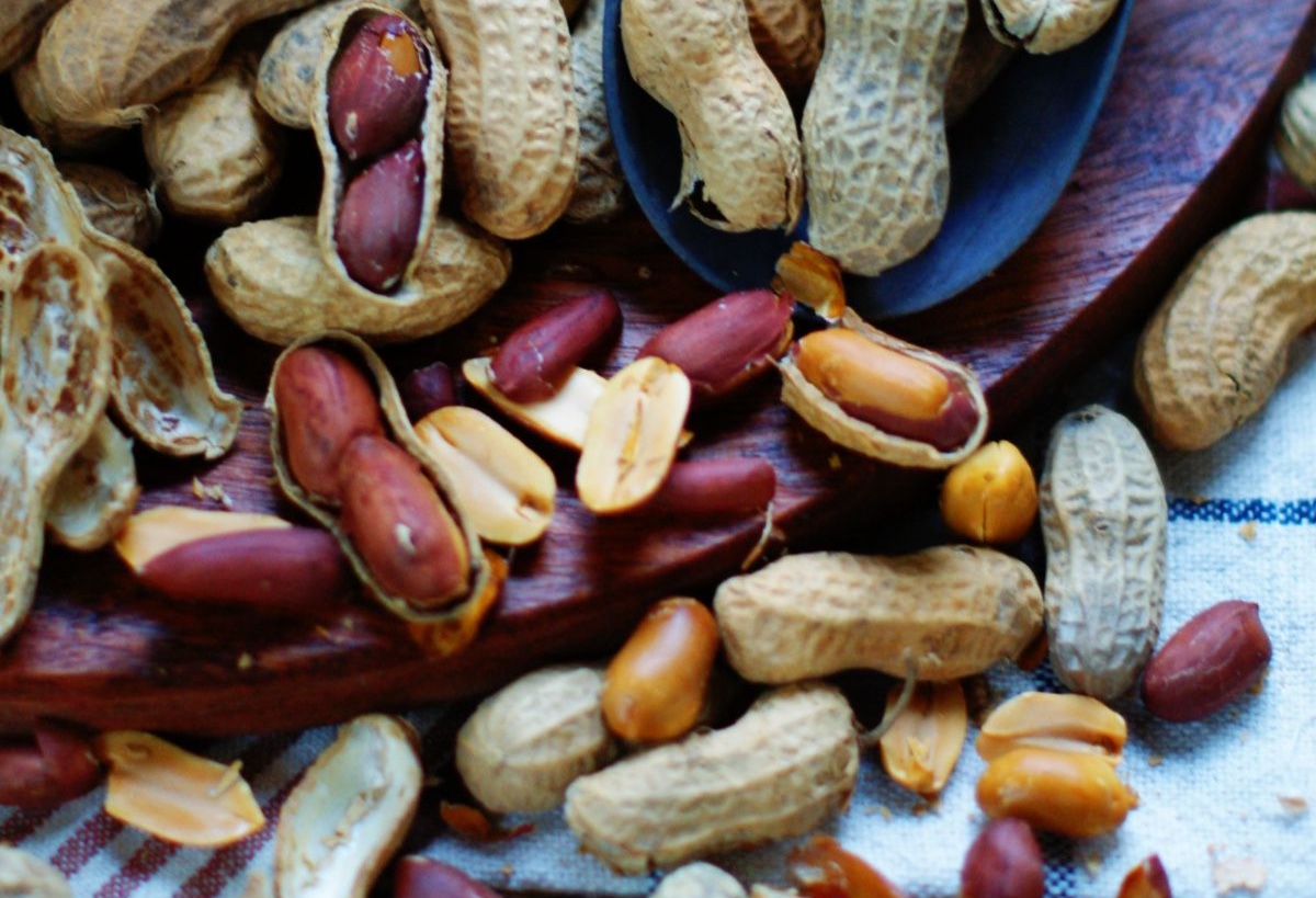 Sáng dậy, nhân lúc bụng đói ăn vài hạt rẻ bèo này ngang đồ đại bổ cho sức khoẻ, sắc đẹp: Bếp Việt thường có sẵn