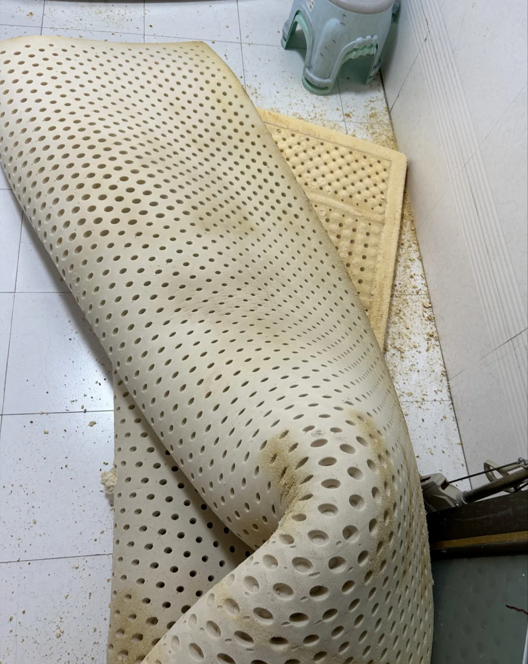 Chuyên gia cảnh báo: 6 món này là "sát thủ giấu mặt" trong nhà, gieo bệnh tật và rút ngắn tuổi thọ từng ngày - Ảnh 5.