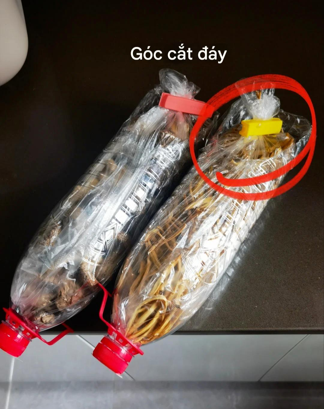 Mẹ tôi 55 tuổi: Học thức không cao nhưng tinh tường hơn sách vở, có 9 chiêu "hồi sinh phế phẩm thành báu vật" đỉnh cao! - Ảnh 8.