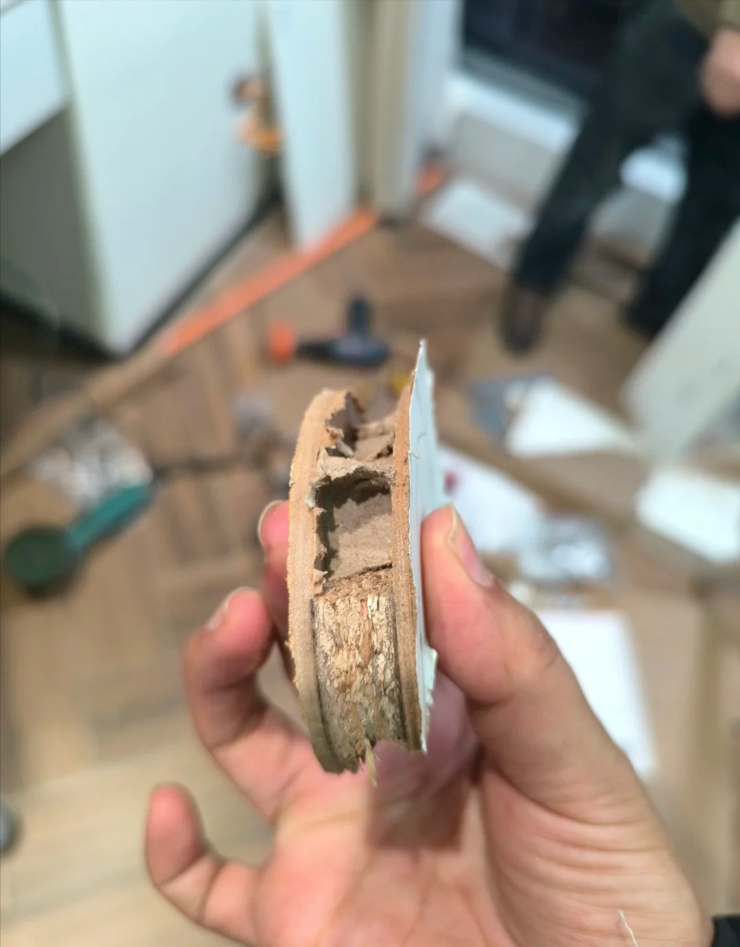 Chuyên gia cảnh báo: 6 món này là "sát thủ giấu mặt" trong nhà, gieo bệnh tật và rút ngắn tuổi thọ từng ngày - Ảnh 1.