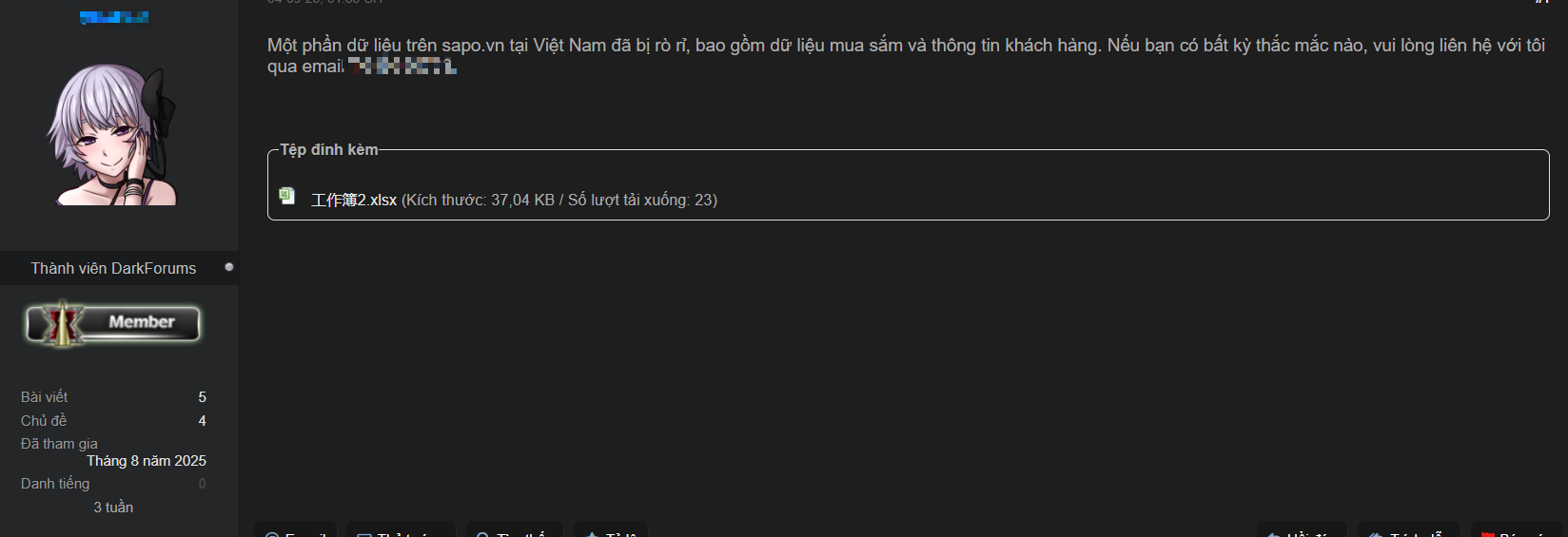 Dữ liệu của hai doanh nghiệp Việt bất ngờ bị hacker rao bán trên web đen - Ảnh 2.