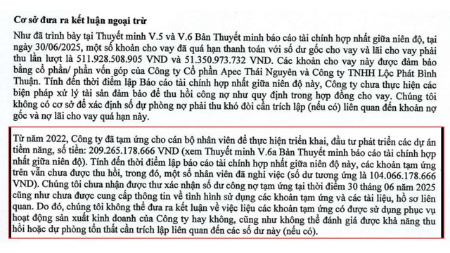 Độc lạ: Một doanh nghiệp bất động sản tạm ứng hàng trăm tỷ cho nhân viên đi phát triển dự án, kiểm toán chưa đánh giá được khả năng thu hồi- Ảnh 1.