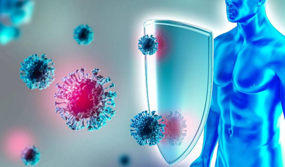 Thịt nên để trong ngăn đông tủ lạnh bao lâu? Lấy ra rã đông rồi lại cất vào nhiều lần có nên tiếp tục ăn?- Ảnh 2. Thịt nên để trong ngăn đông tủ lạnh bao lâu? Lấy ra rã đông rồi lại cất vào nhiều lần có nên tiếp tục ăn?- Ảnh 2.