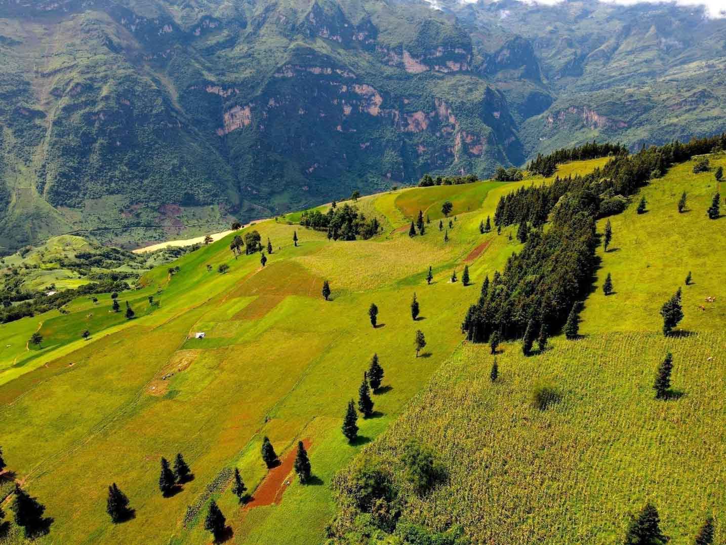 Đỉnh núi trong "Top 10 cao nhất Việt Nam", thuộc Hoàng Liên Sơn: Vừa có bé 5 tuổi chinh phục thành công - Ảnh 10.