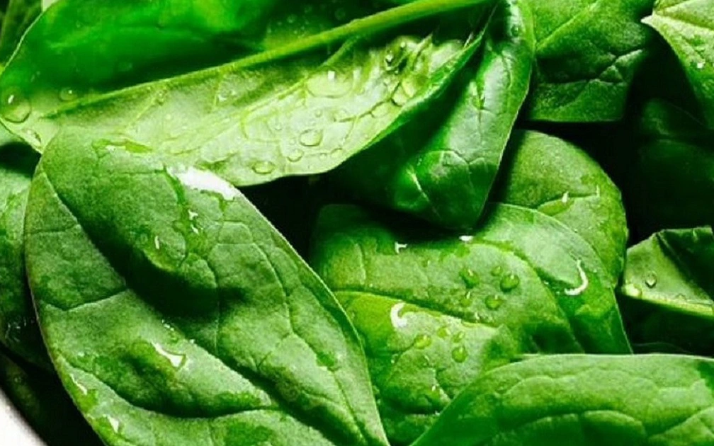 Loại rau được đánh giá "tốt bậc nhất thế giới", hoá ra là rau quen thuộc rẻ bèo ở Việt Nam - Ảnh 3.
