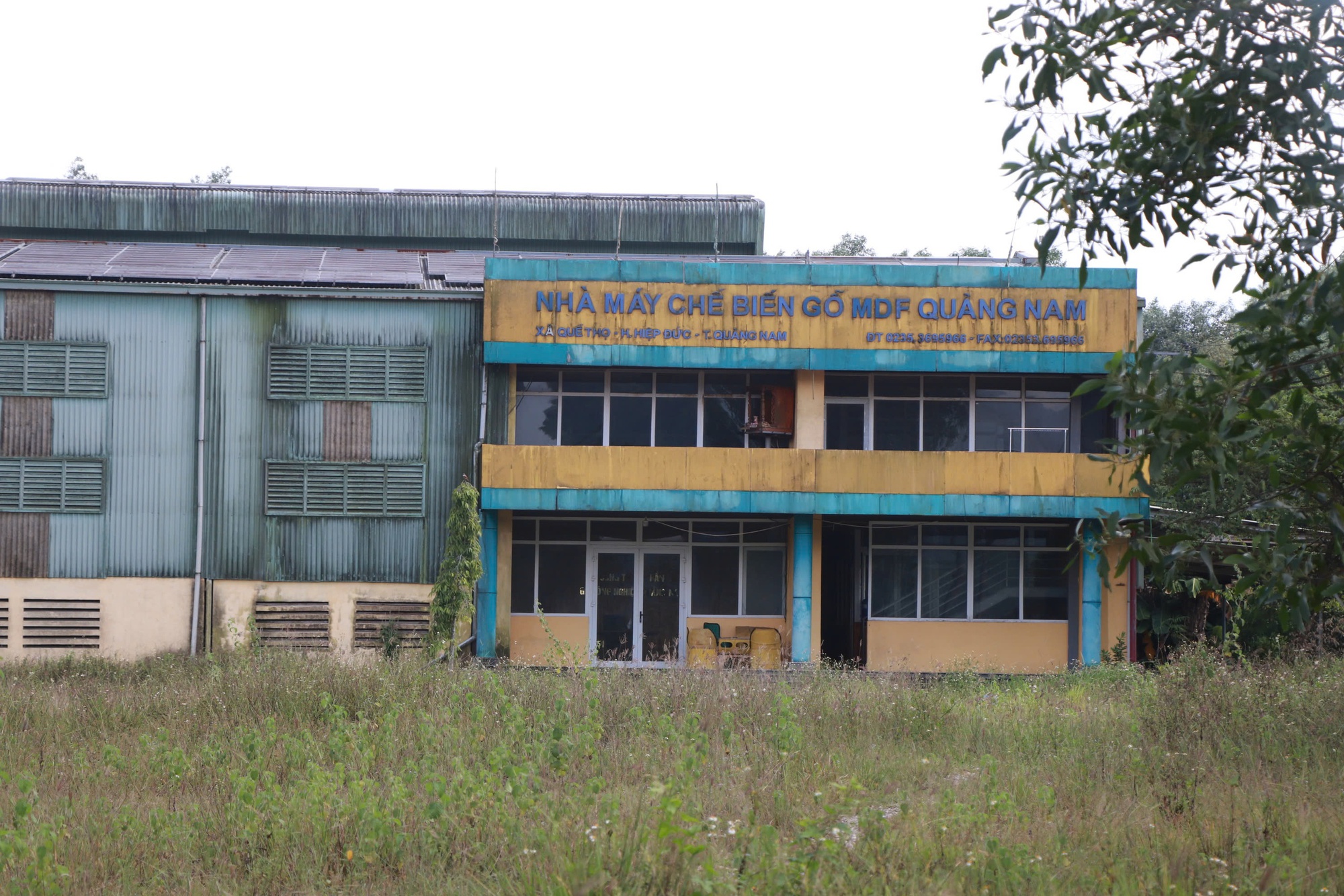 Nhà máy 500 tỉ ở Đà Nẵng "chết yểu", người dân bị vạ lây- Ảnh 1.