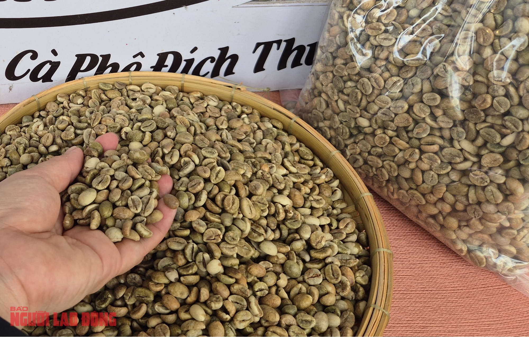 Giá cà phê hôm nay 19-9: Hồi phục, giá cà phê tại Mỹ lên kỷ lục - Ảnh 1.