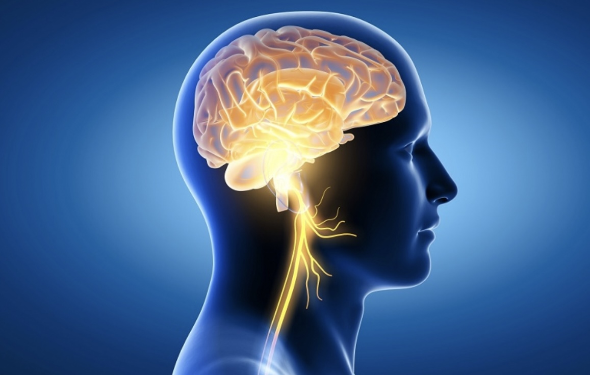 10 điều bộ não SỢ NHẤT: Có những hành vi dễ gây Alzheimer, teo não - Ảnh 1.