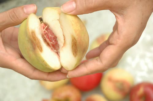 1 loại quả, 1 loại rau, 3 loại đồ uống, 4 loại thịt này chính là thủ phạm đưa bạn đến gần bệnh ung thư hơn: Ăn càng ít càng giữ được tính mạng- Ảnh 2.