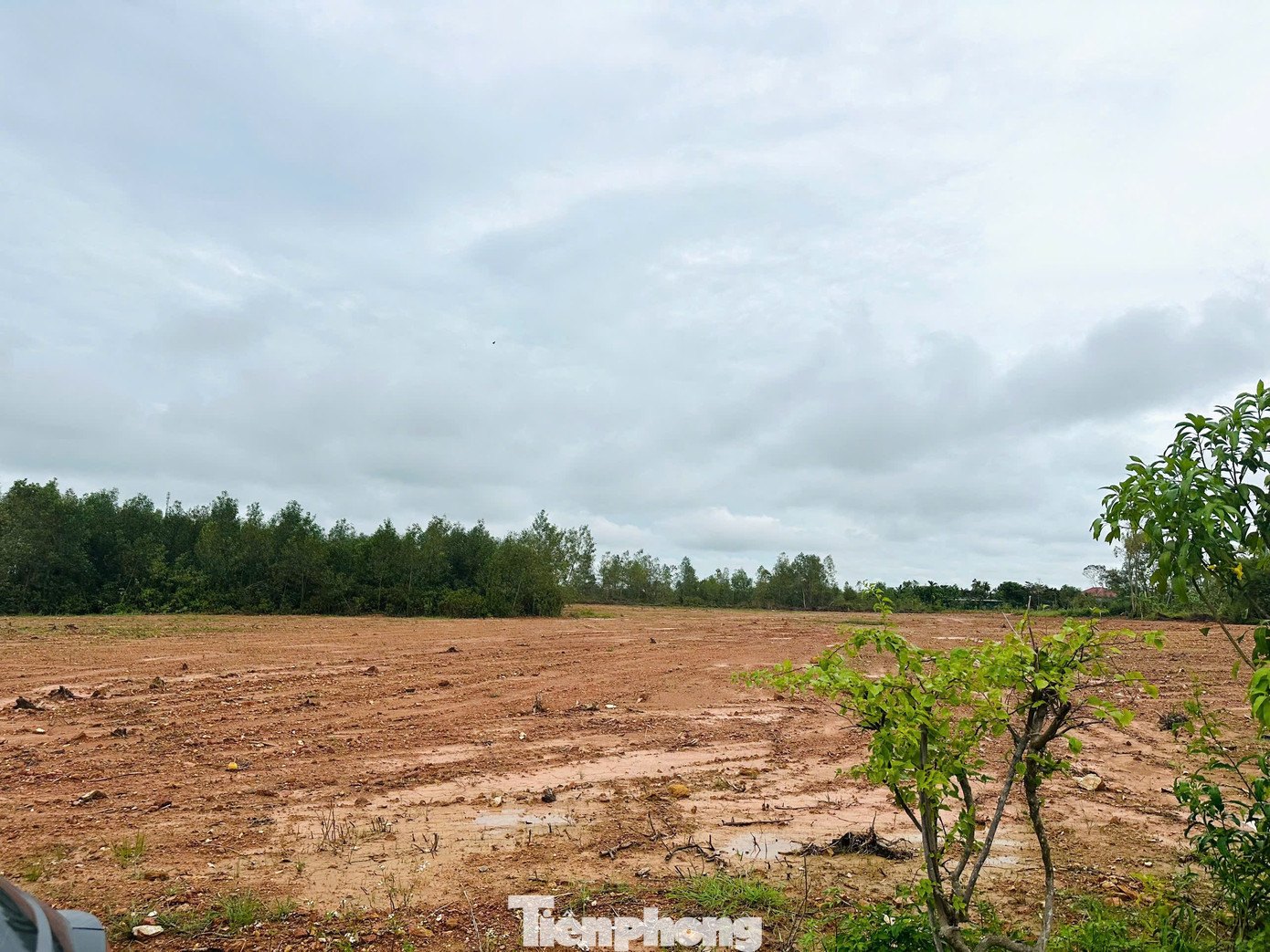 'Thổi giá', gom đất, phân lô bán nền tràn lan sau công bố quy hoạch