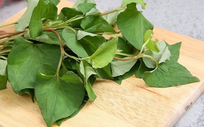 Người Việt thường bỏ qua loại rau "rẻ bèo" nhưng giàu canxi gấp 36 lần canh xương hầm: Giúp giảm cân, chắc xương khớp lại đẹp da - Ảnh 2.