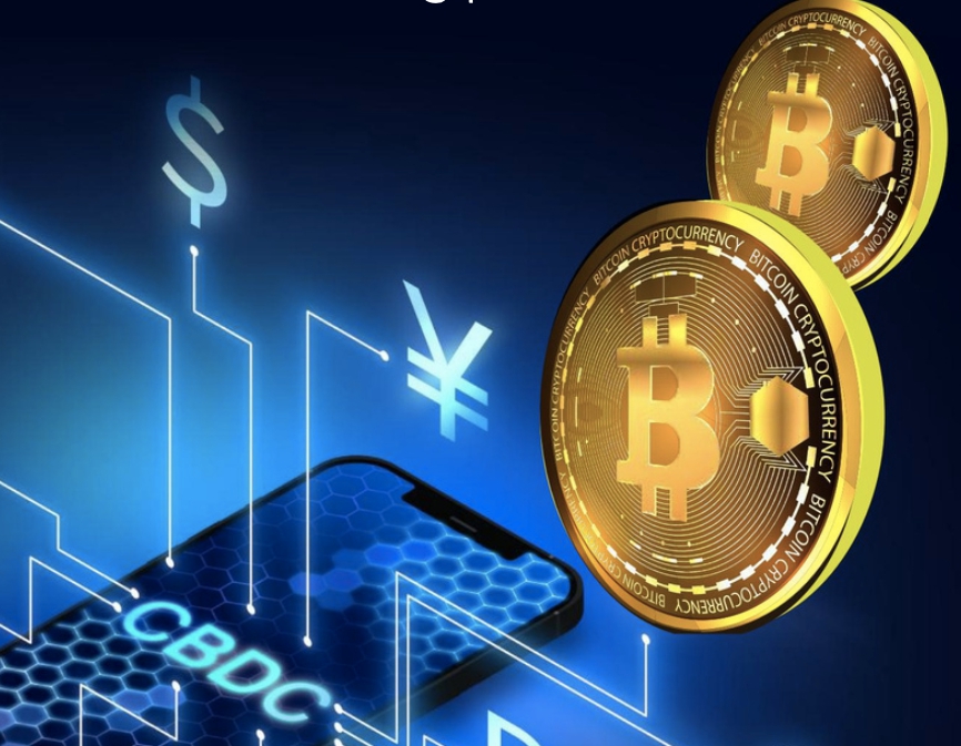 17 triệu người Việt đang giao dịch 100 tỷ USD tiền mã hóa ở nước ngoài- Ảnh 2.