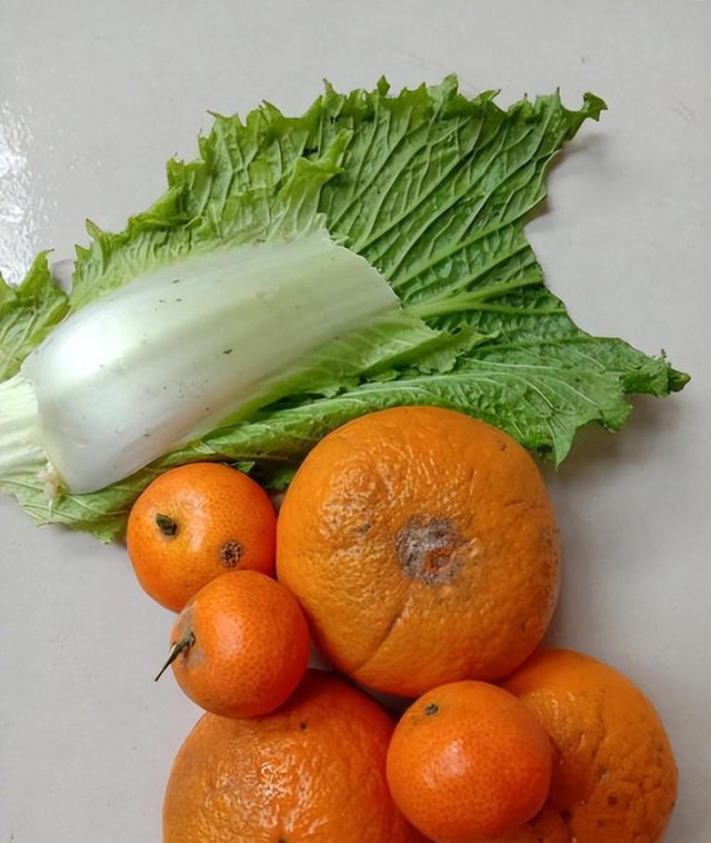 Tiết kiệm mấy cũng đừng giữ lại 7 món đồ này trong nhà, tưởng vô hại nhưng càng dùng càng rước bệnh- Ảnh 4.