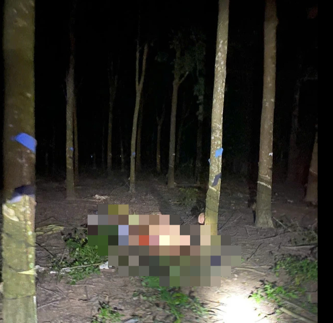 Vụ 3 mẹ con ở TP HCM tử vong trên đường đi thăm bà ngoại về: Tài xế có nồng độ cồn cao- Ảnh 1.