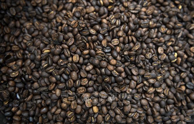 Làn sóng giảm giá 'phủ bóng' thị trường nông sản thế giới - Ảnh 2.