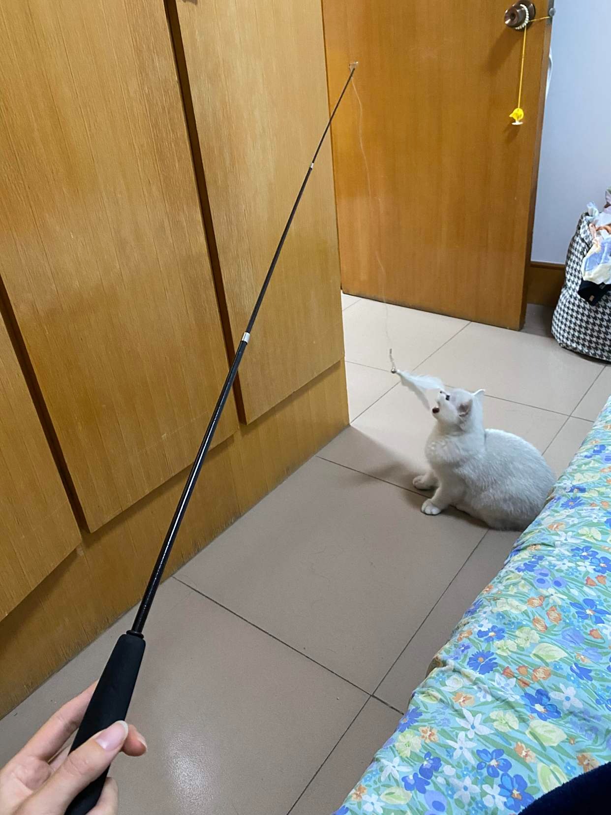 Cảnh báo: 6 thứ quen mặt tiềm ẩn sợi thuỷ tinh nguy hiểm, gây dị ứng da, càng dùng lâu càng tổn hại sức khoẻ- Ảnh 6.