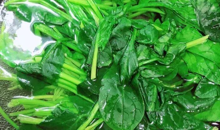 4 loại rau này không chần nước sôi coi chừng cả nhà trúng độc, loại thứ 2 rất nhiều người mê- Ảnh 1.