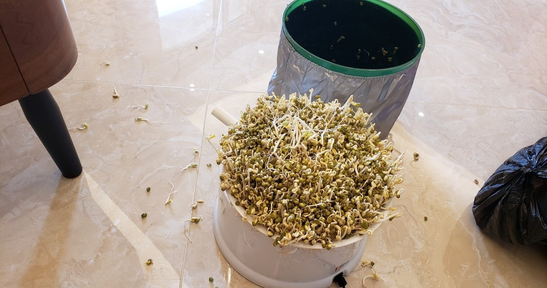Khuyên thật ĐỪNG MUA 6 "cục nợ" này: Tỉ lệ sử dụng thấp kịch đáy, chỉ tổ bám bụi, chật nhà - Ảnh 6.