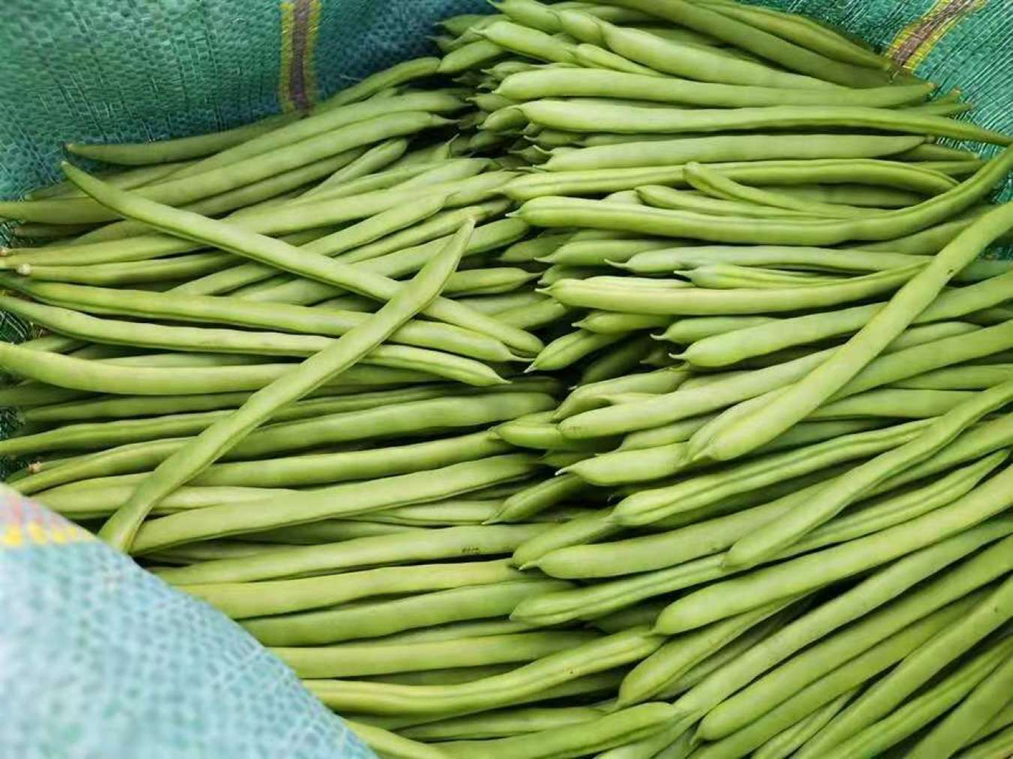 5 loại rau quả dễ "ngậm thuốc trừ sâu" nhất chợ, nhất là cái số 1- Ảnh 2.