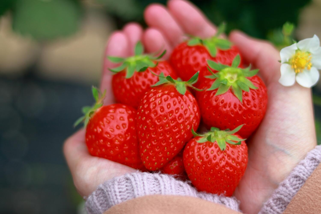 5 loại rau quả dễ "ngậm thuốc trừ sâu" nhất chợ, nhất là cái số 1- Ảnh 3.