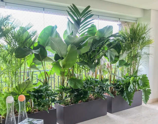 Ngày càng nhiều gia đình thích nhà hướng Tây, đọc xong 3 lý do này muốn “chốt đơn” ngay Ngày càng nhiều gia đình thích nhà hướng Tây, đọc xong 3 lý do này muốn “chốt đơn” ngay