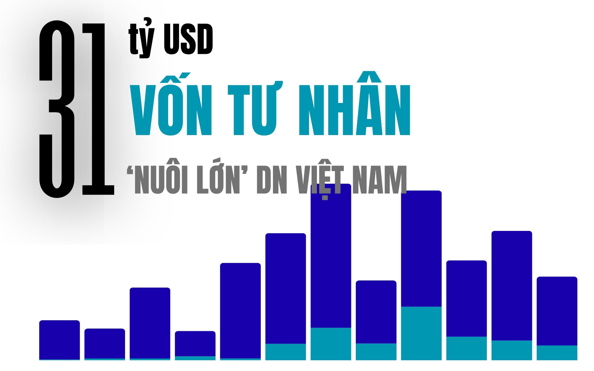 31 tỷ USD 'nuôi lớn' Masan, Tiki, Equest, Golden Gate... trong 1 thập kỷ từ dòng vốn tư nhân- Ảnh 1.