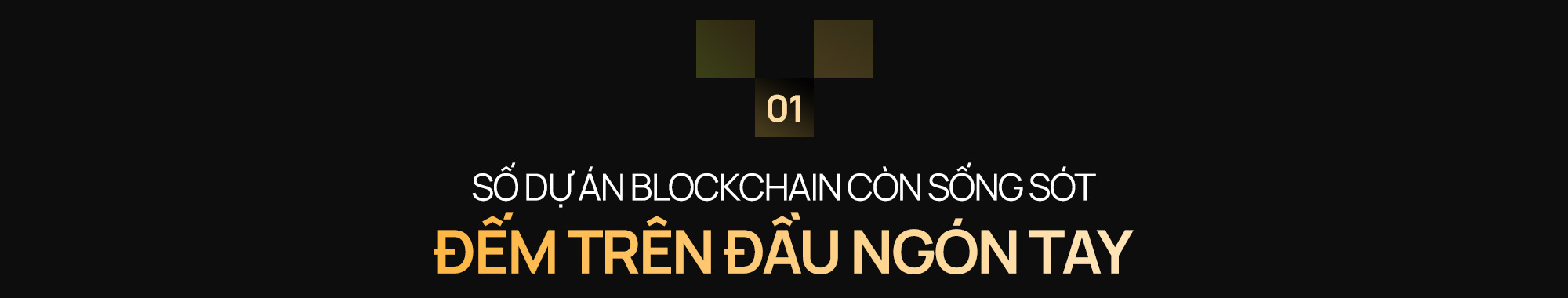 Ông Nguyễn Ngọc Hưng - Chuyên gia VBA: Muốn blockchain thành mũi nhọn của ngành công nghệ Việt Nam, đội ngũ builder Việt cần thoát khỏi “DNA gia công” - Ảnh 2.