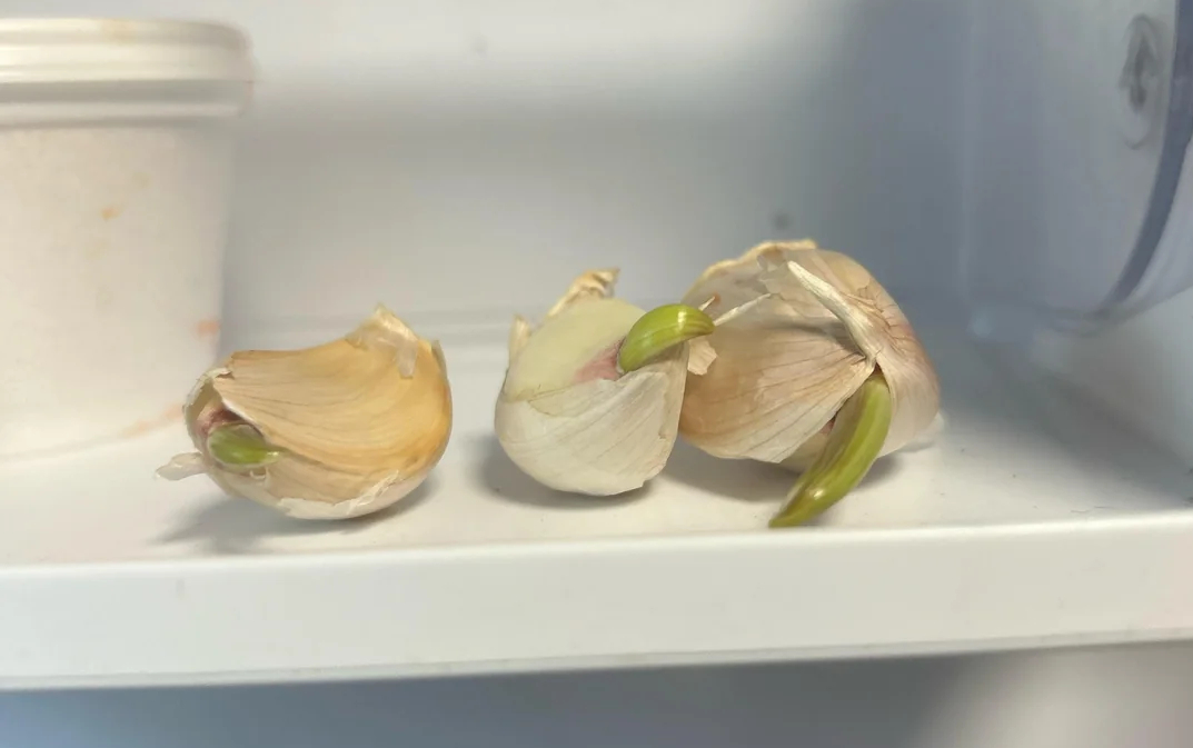 5 thực phẩm để trong tủ lạnh ngang "xây tổ" cho vi khuẩn và mầm bệnh: Nhiều gia đình Việt biết sai nhưng cố chấp - Ảnh 3.