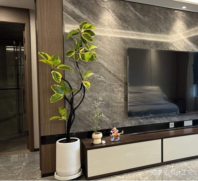 Đặt 1 trong 6 cây phong thủy này trong phòng khách: 9/10 gia đình đều giàu có- Ảnh 5. Đặt 1 trong 6 cây phong thủy này trong phòng khách: 9/10 gia đình đều giàu có- Ảnh 5.