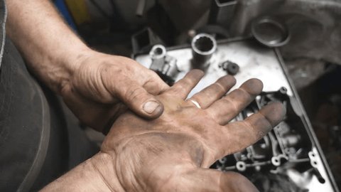 Mua mảnh đất 300 triệu để trồng cây, gia chủ bất ngờ đổi đời sau 1 năm: Đất để không cũng sinh lời gần 10 lần!- Ảnh 1.